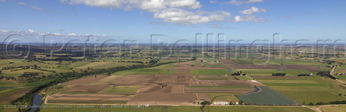 Peter Bellingham Photography Lindenow - VIC (PBH4 00 10999)